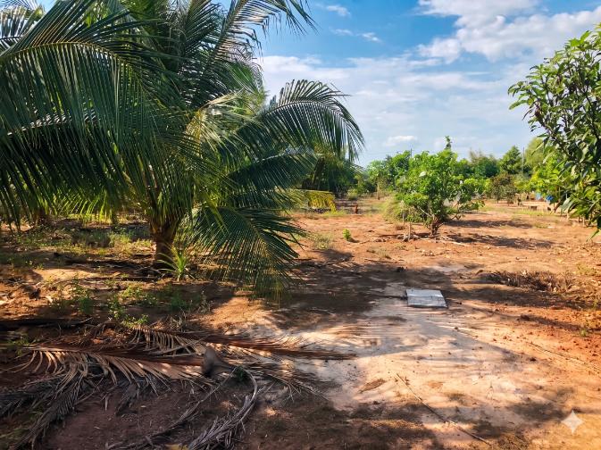 Bán đất làm nhà vườn Phước Hải, view thoáng đẹp