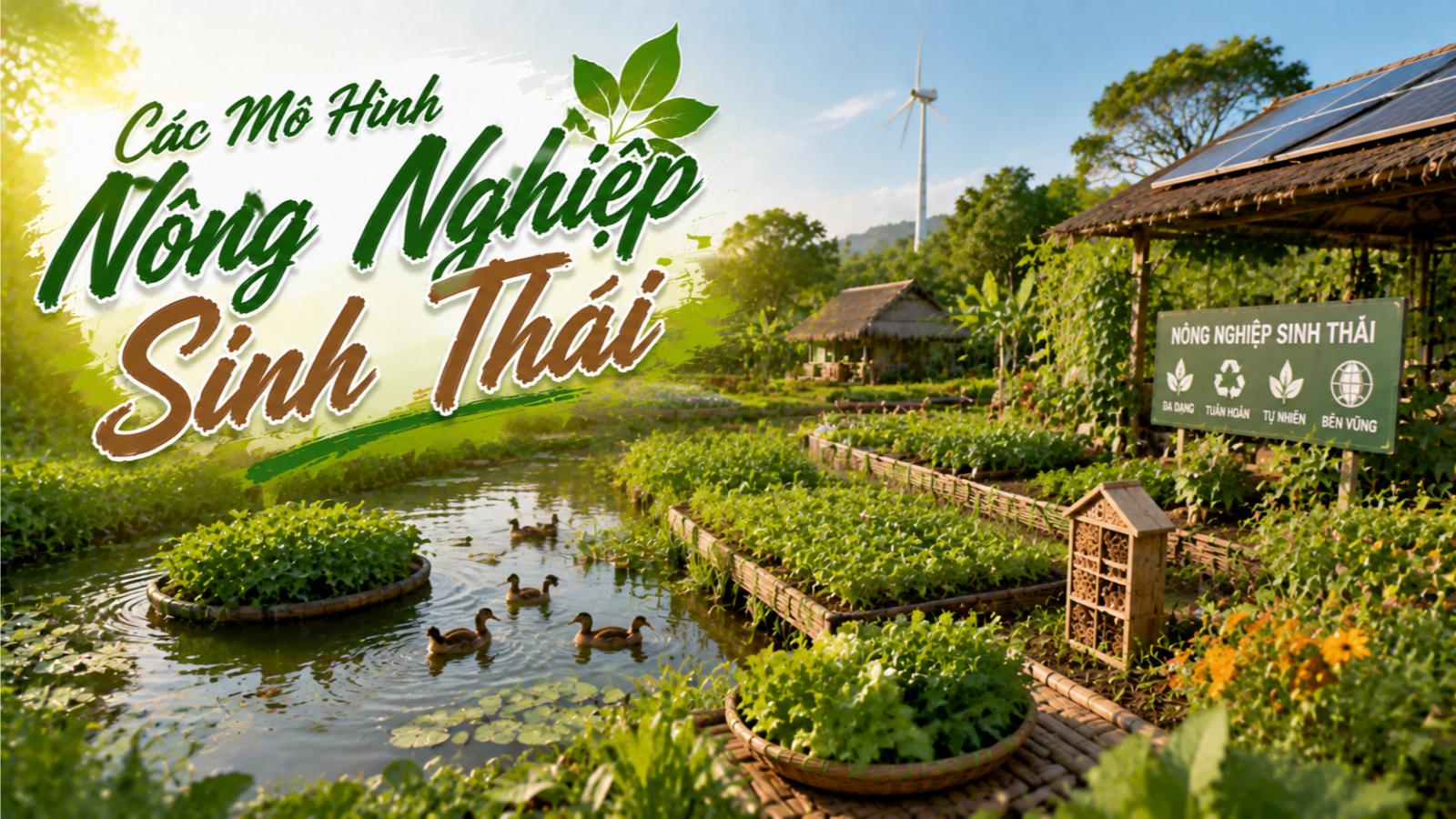 Các mô hình nông nghiệp sinh thái