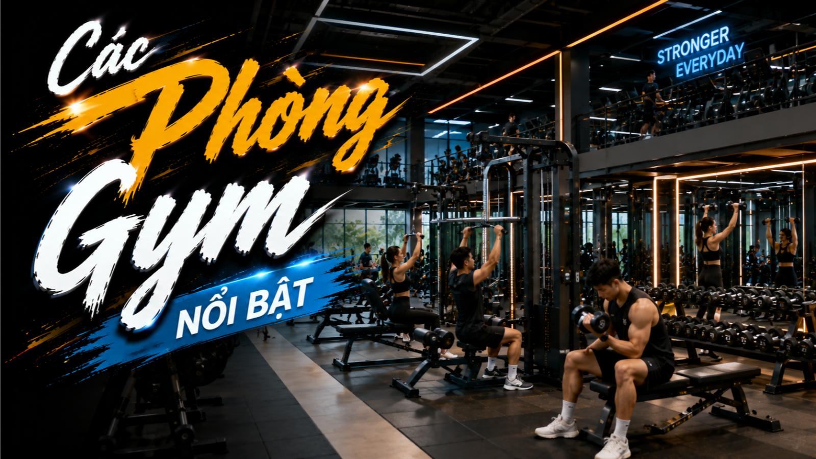 Các phòng gym nổi bật